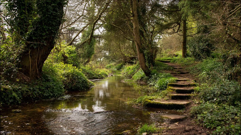 chess valley walk