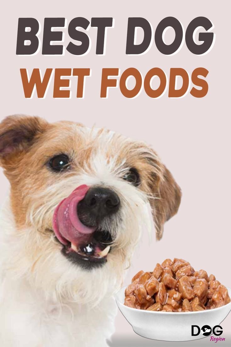 Best Wet Dog Food UK