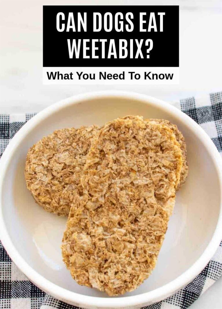 Can Dogs Eat Weetabix?