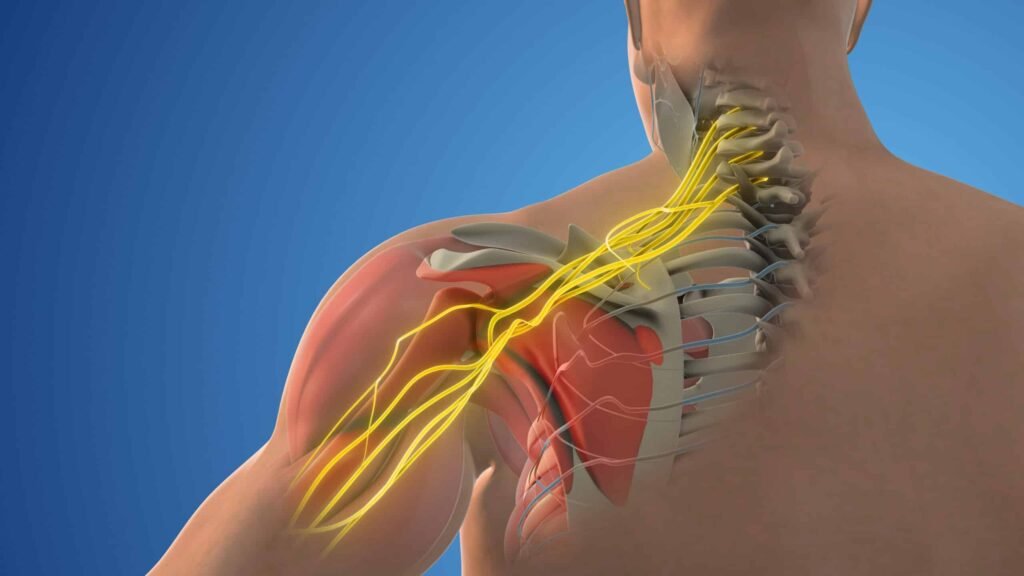 trapped nerve in shoulder blade
